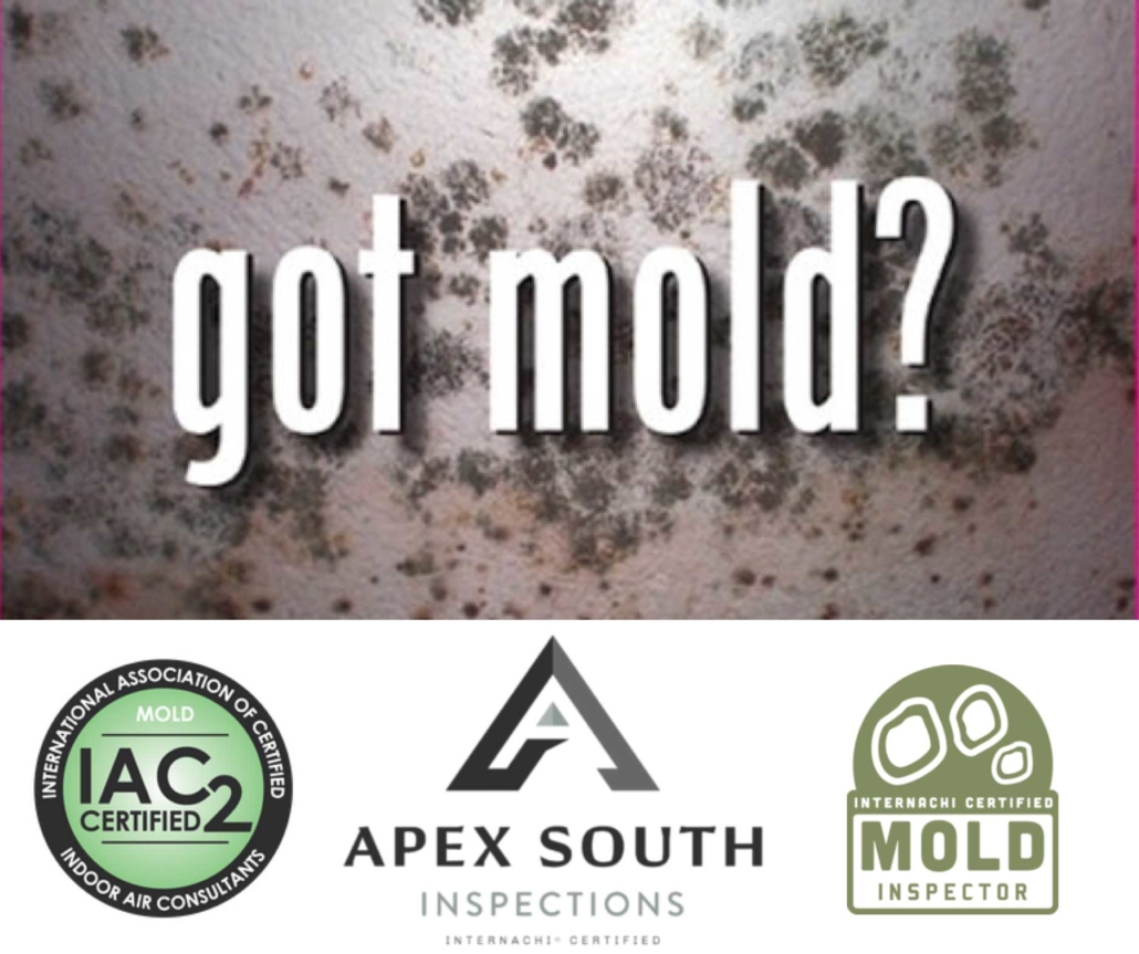 Got mold?