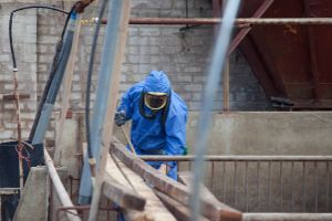 clean up asbestos